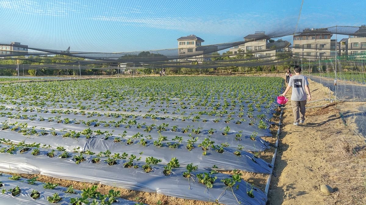 園區占地面積５公頃，場地相當寬廣。（圖片來源：優尼太太）