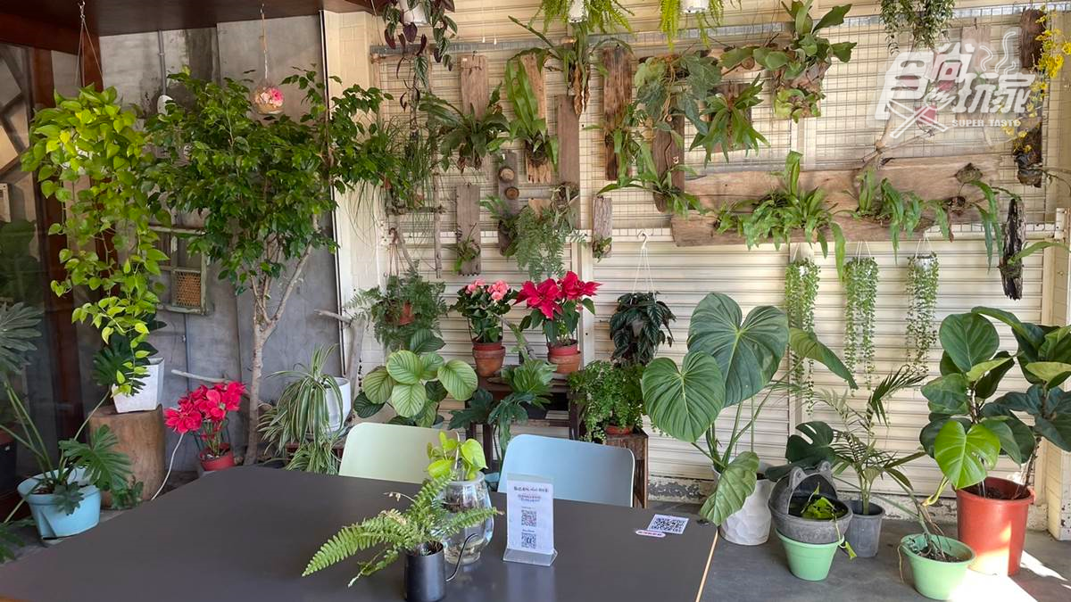 店內可以看到許多綠色植物。