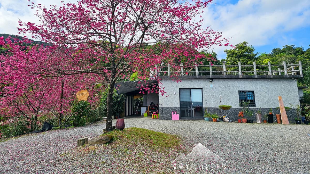 【新開店】月底前免費入園！宜蘭賞櫻祕境露營區，穿浴衣拍鳥居秒飛日本