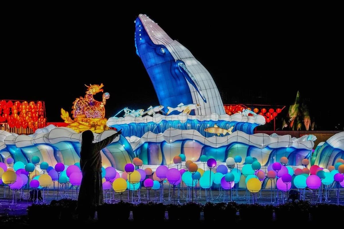 台灣燈會限定「台鐵鰻魚便當」販售據點、時間曝光！加碼高鐵燈區必逛３亮點