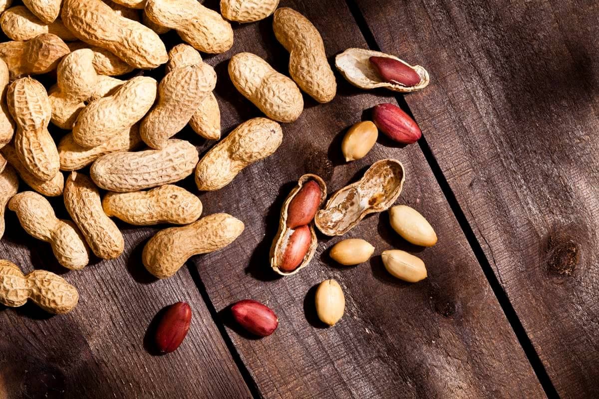 揭密百歲人瑞吃什麼！抗老防癌「這水果」１顆搞定，想長壽就吃這15種食物（中獎公布）