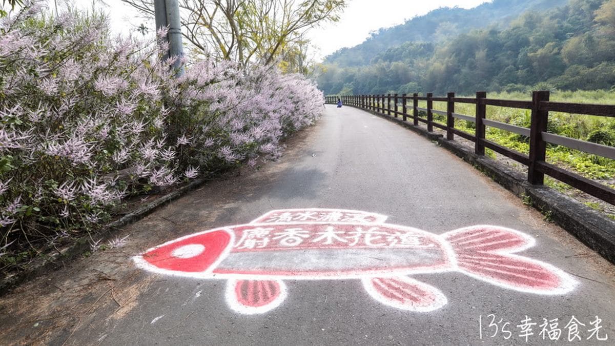 步道分成３段，中段只有一側有麝香木花。（圖片來源：13's幸福食光）