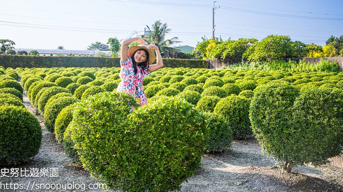 愛心形狀的抹茶丸子可愛又療癒。（圖片來源：史努比遊樂園）
