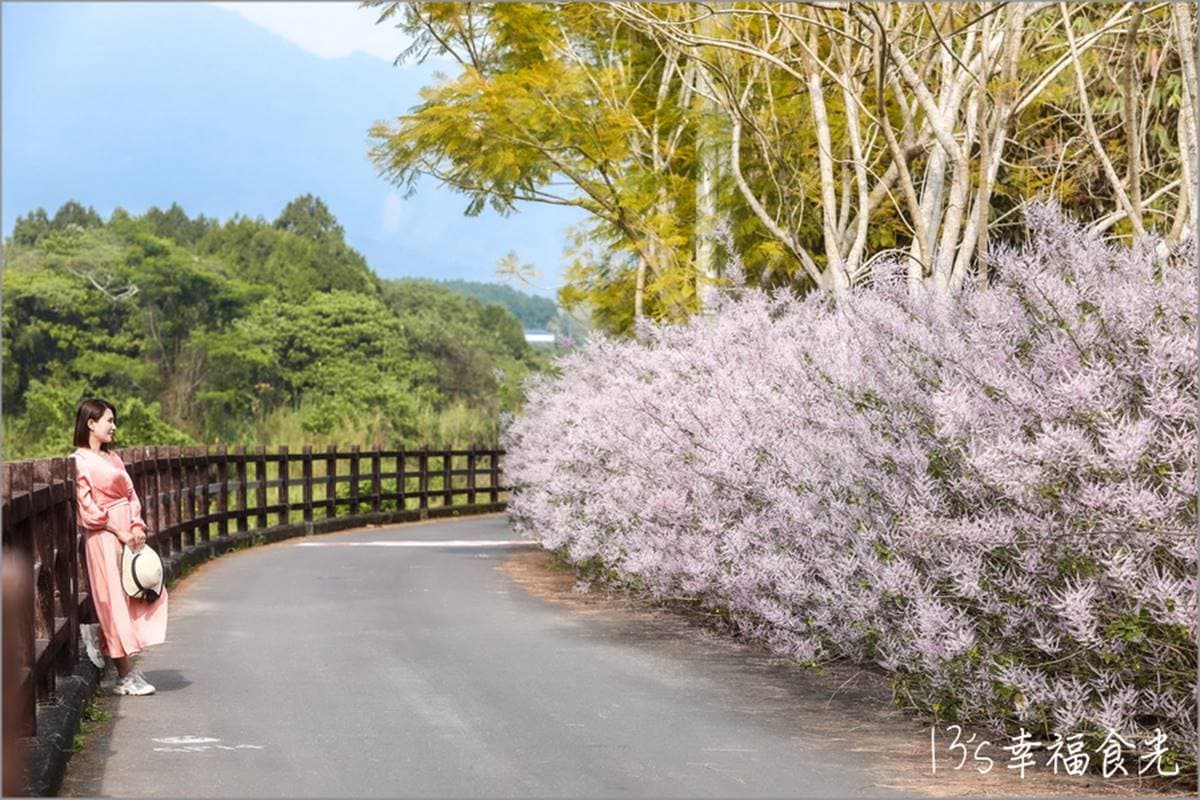 全台最大紫藤花園「這天」開放！破萬坪超好拍，加碼開追６處仙氣花海