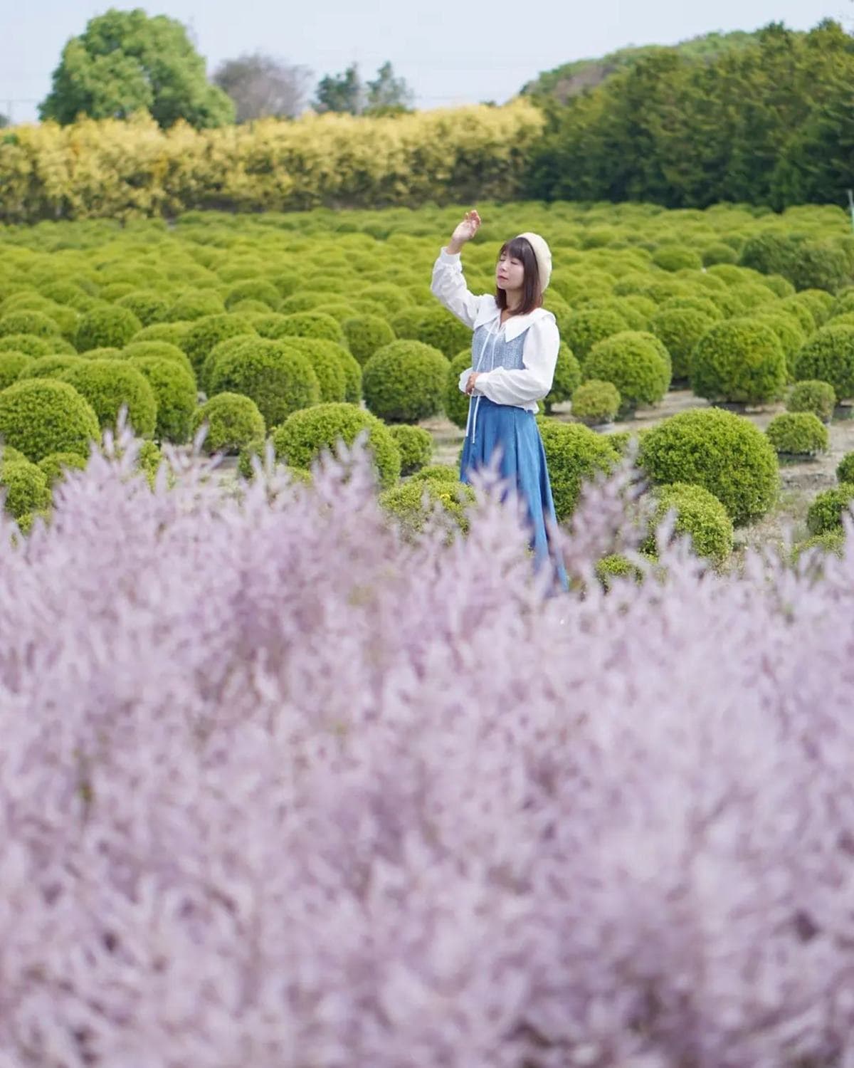 全台最大紫藤花園「這天」開放！破萬坪超好拍，加碼開追６處仙氣花海