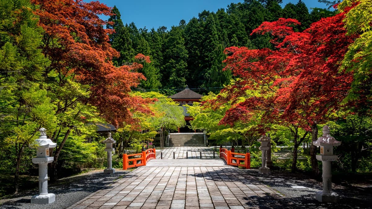 爬富士山要收錢了！山梨縣「這天起」加收登山稅，還有人數、時段管制