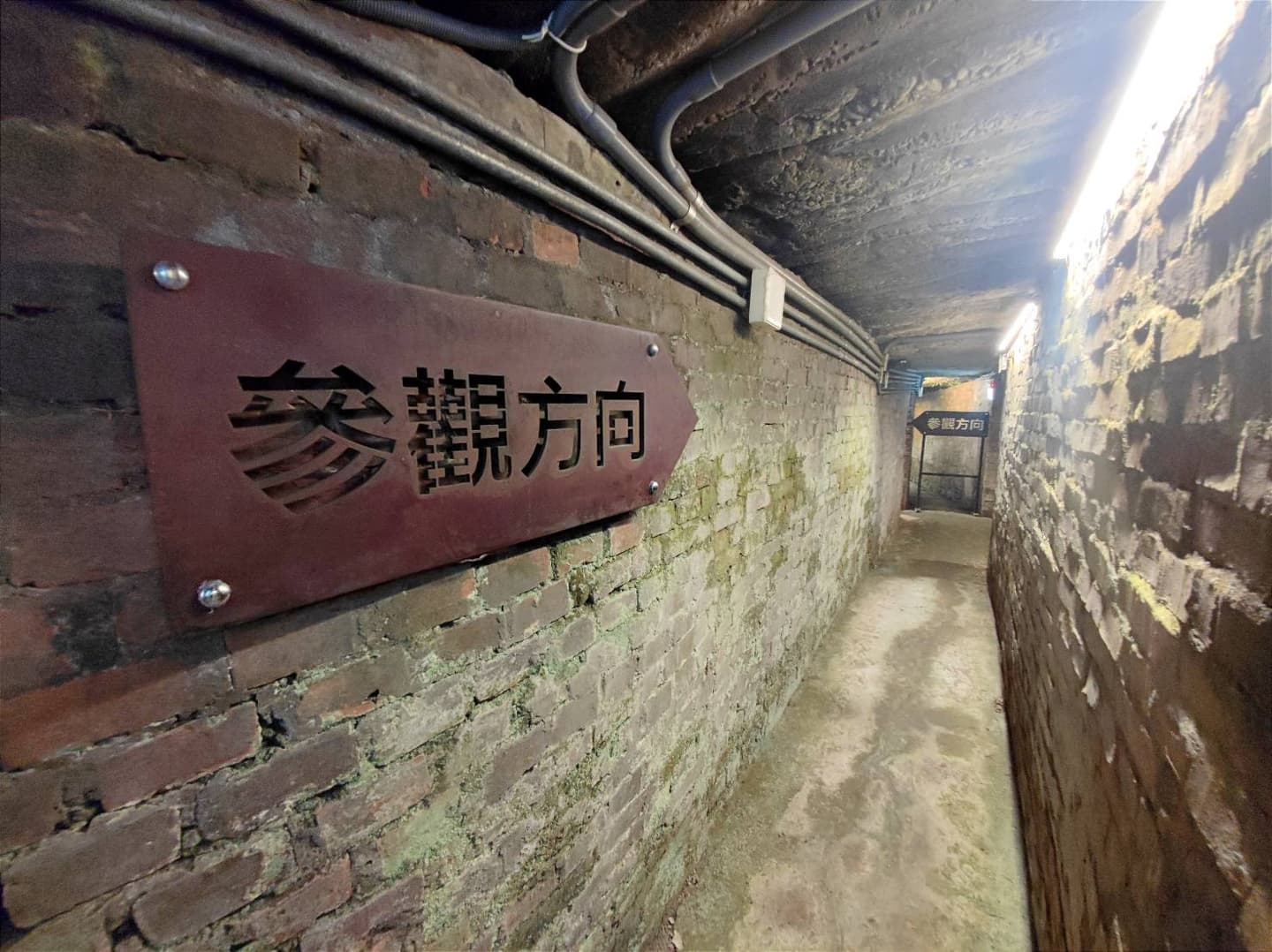 【食尚玩酒莊】鰹魚入酒超猛！2024世界琴酒冠軍在三重，順逛超美「隧道」眷村（中獎公布）
