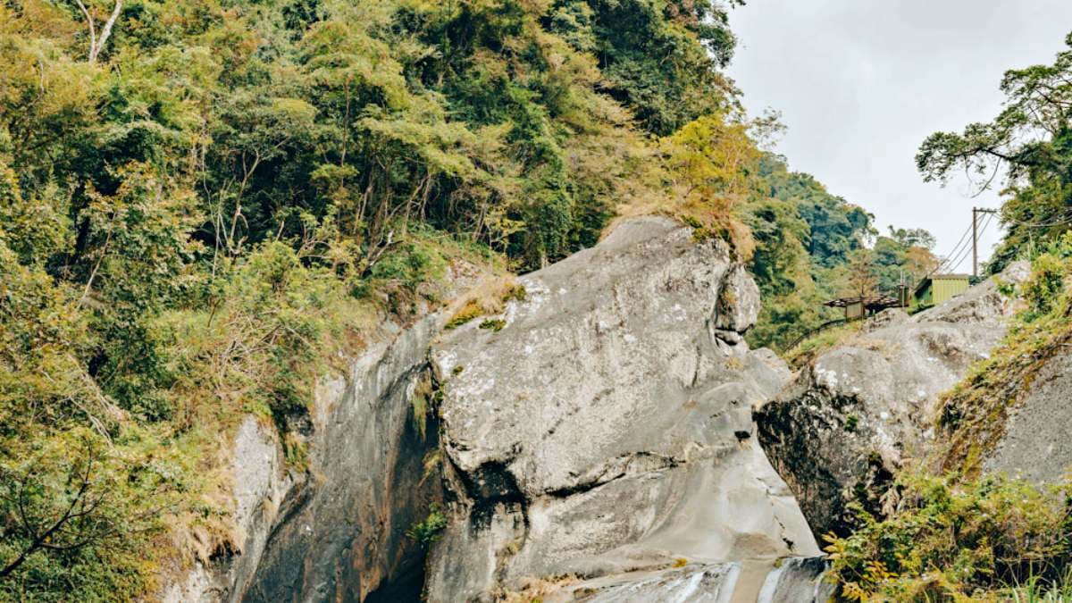 這塊巨型石頭像１隻青蛙的背面趴在樹叢裡。（圖片來源：莓姬貝利 食事旅行）
