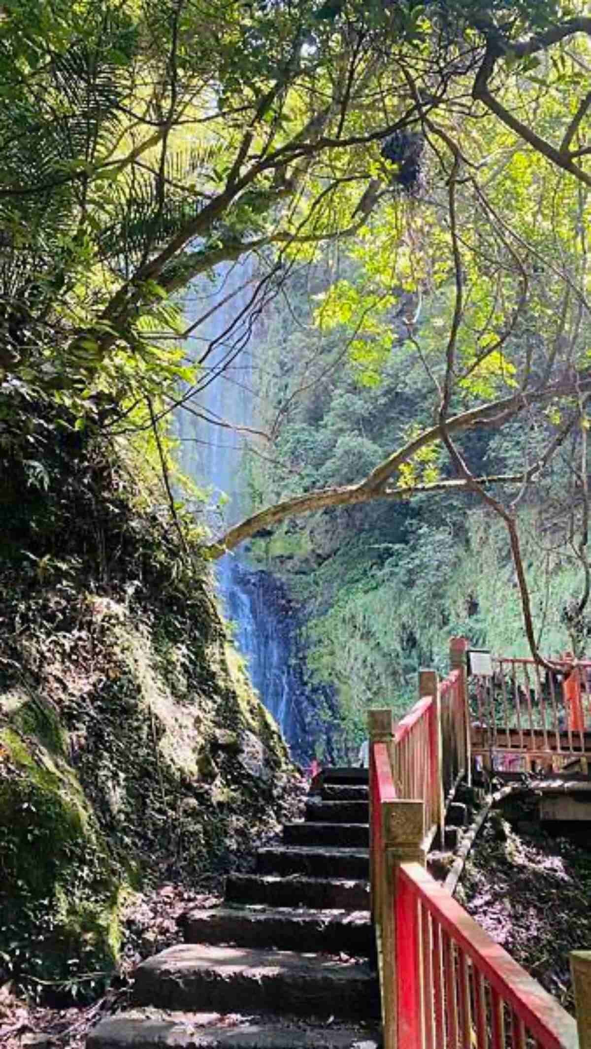 30分鐘朝聖3層瀑布!宜蘭「新手級森林步道」近距離賞飛瀑美景、吸爆芬多精 30分鐘朝聖3層瀑布!宜蘭「新手級森林步道」近距離賞飛瀑美景、吸爆芬多精