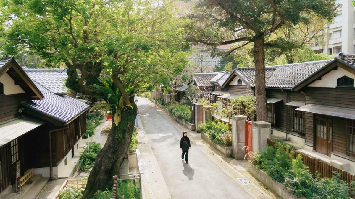 感念百年台灣油杉的留下，園區才能以嶄新樣貌重新回歸。（圖片來源：0km山物所）