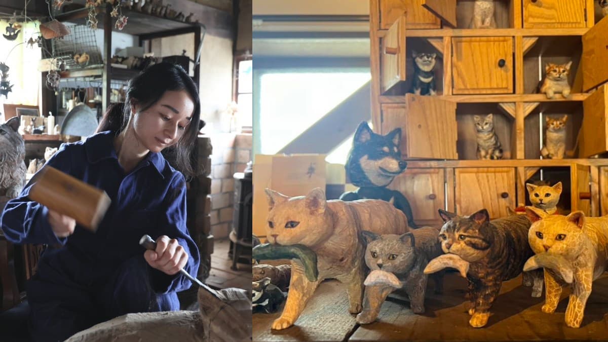 日本最萌「貓狗木雕展」登台!開箱4大亮點:14米高擁抱貓貓、獨家貓咪燒 日本最萌「貓狗木雕展」登台!開箱4大亮點:14米高擁抱貓貓、獨家貓咪燒