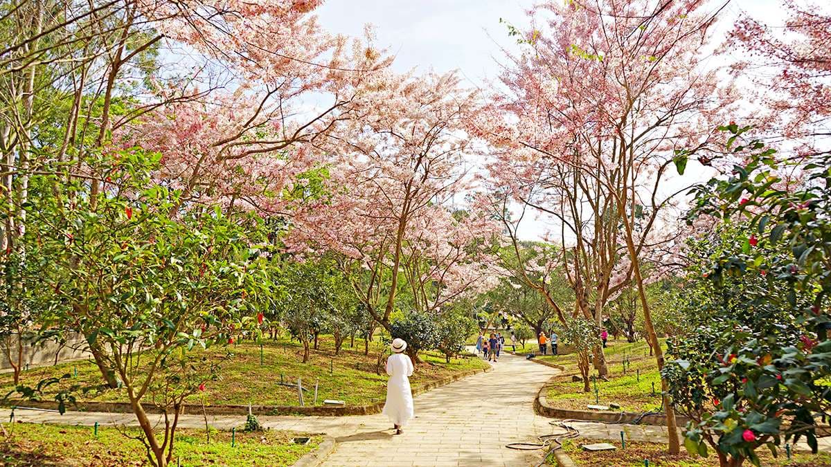 天臺山 維多利亞公園