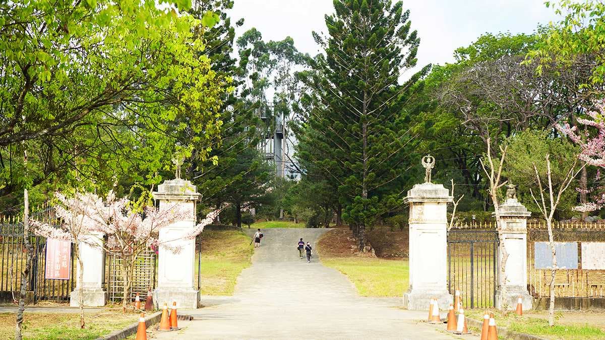 0元免費拍!高雄神祕「花旗木園區」快閃開放,「這角度」拍出偽富士山美照 0元免費拍!高雄神祕「花旗木園區」快閃開放,「這角度」拍出偽富士山美照
