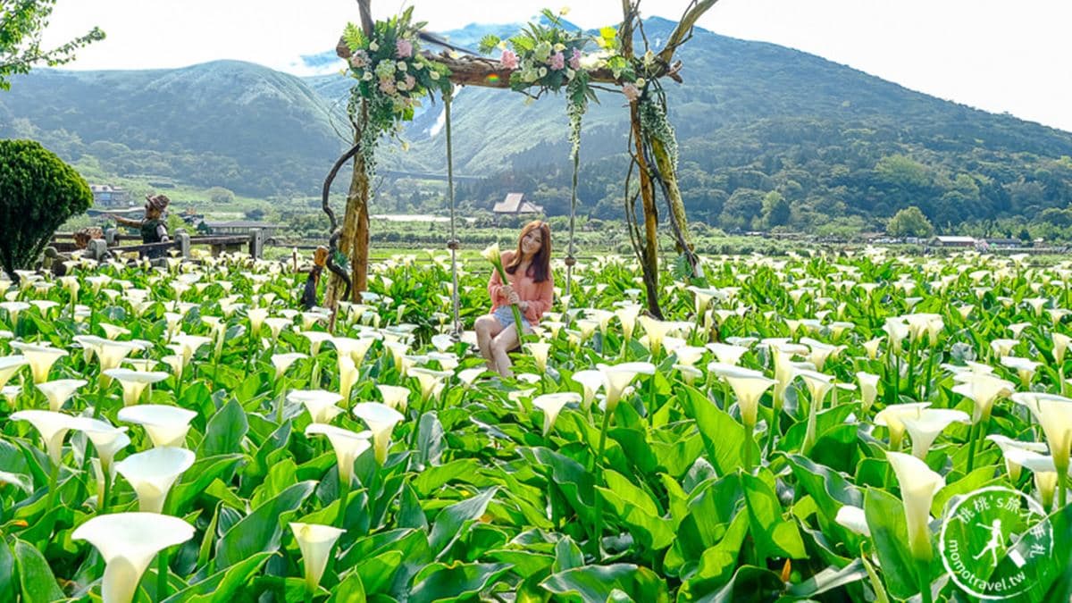 這座木頭盪鞦韆實在太夢幻了，也是很知名的打卡點。（圖片來源：桃桃‘s旅人手札）