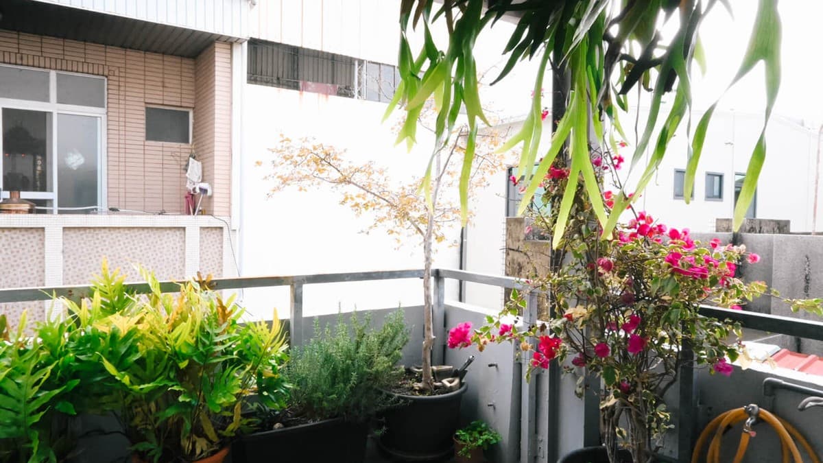 住４人房還可獨享花園小陽台。（圖片來源：寗好生活）