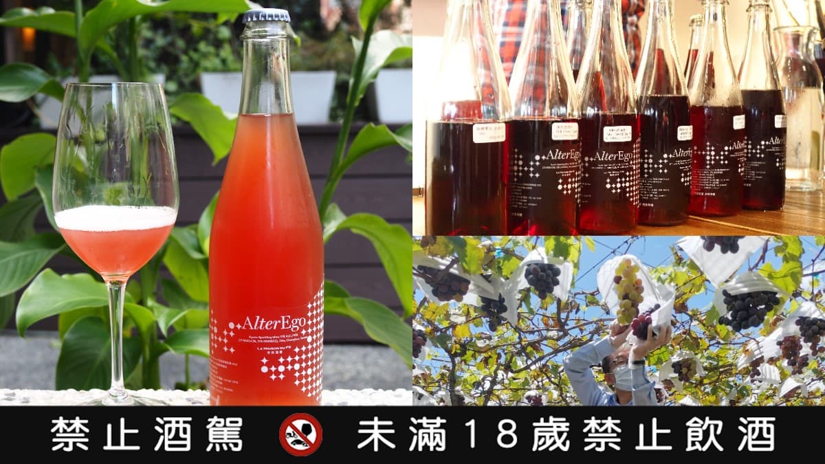 巨峰葡萄也能釀酒！米其林侍酒師的台灣葡萄夢，釀成繽紛夢幻氣泡酒