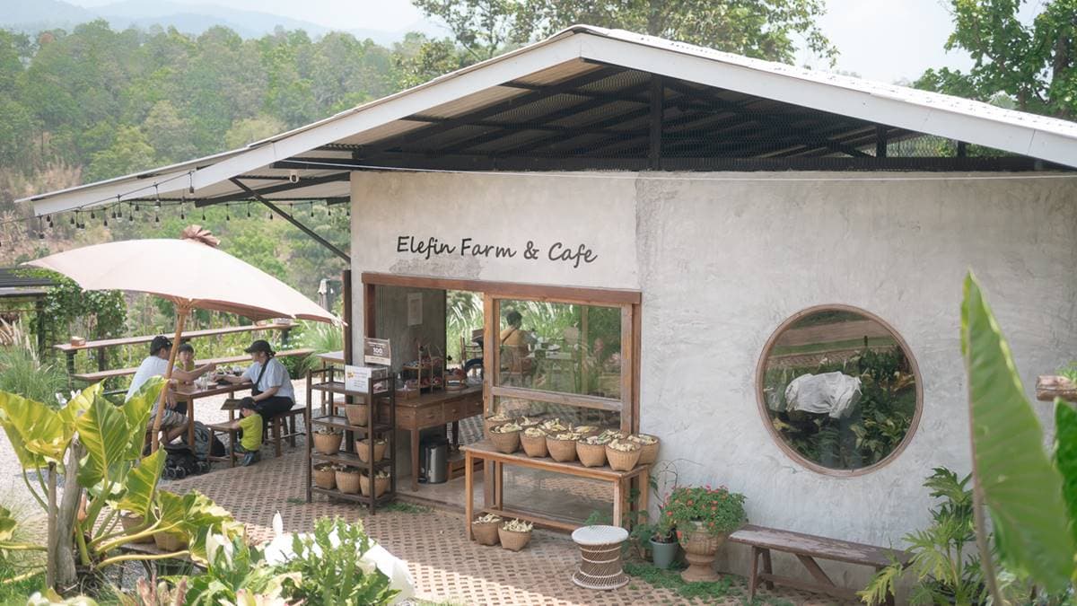 Elefin Farm & Cafe位於清邁山上。（圖片來源：Pengu Travel）