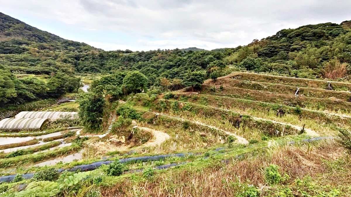 由陽明山火山岩石砌成層層錯疊的梯田，以三角鼎立工法，將石塊排成幾何圖案。（圖片來源：小企鵝生活趣）