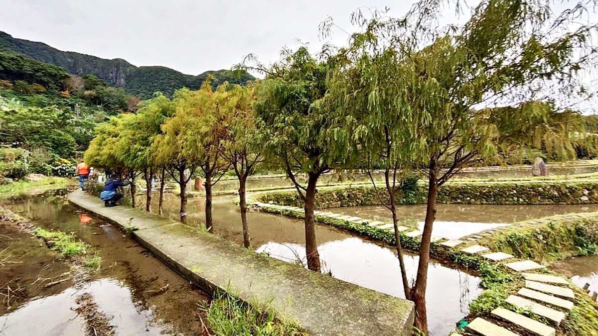 走進田間小徑中能感受到人類的渺小及壯麗的景色。（圖片來源：小企鵝生活趣）