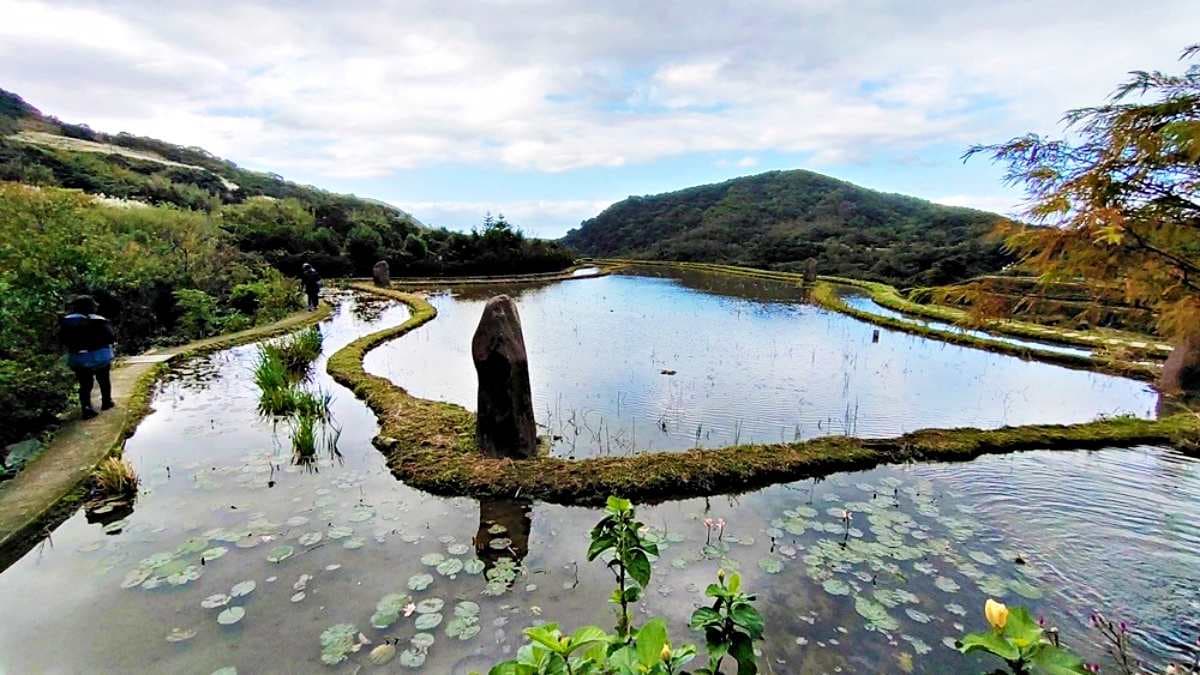 當地的水質清澈並友善耕作，種出來的千歲米種優良。（圖片來源：小企鵝生活趣）