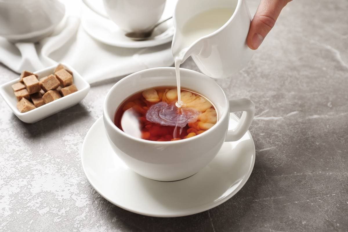 紅茶VS咖啡誰的咖啡因多？南非國寶茶竟然「不是茶」？紅茶知識大蒐祕