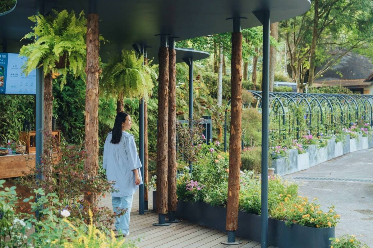 限時２天免費入園！薰衣草森林繡球花季登場，做「這事」再享霜淇淋買一送一