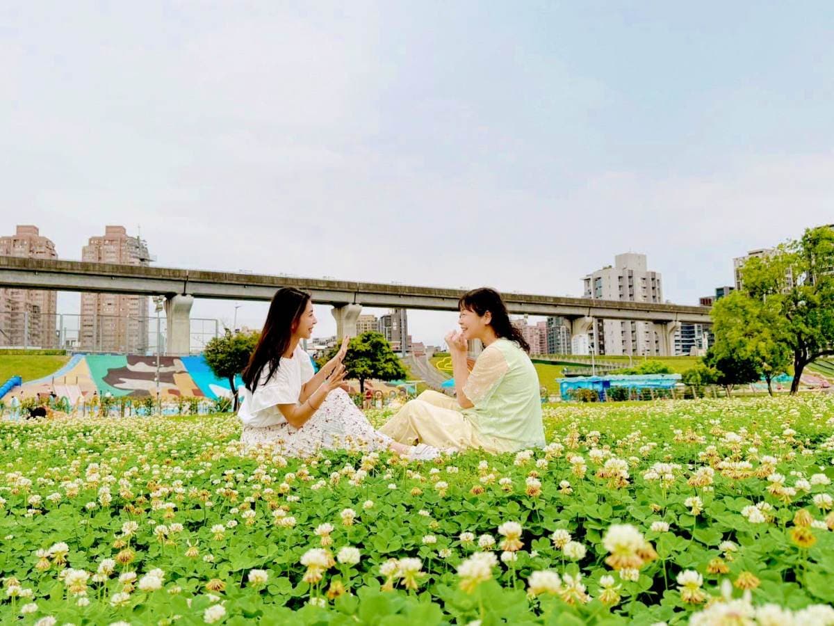 破1.5萬坪免費拍爆!白花三葉草花海藏「全台最大河濱公園」,宛如雪景超夢幻 破1.5萬坪免費拍爆!白花三葉草花海藏「全台最大河濱公園」,宛如雪景超夢幻