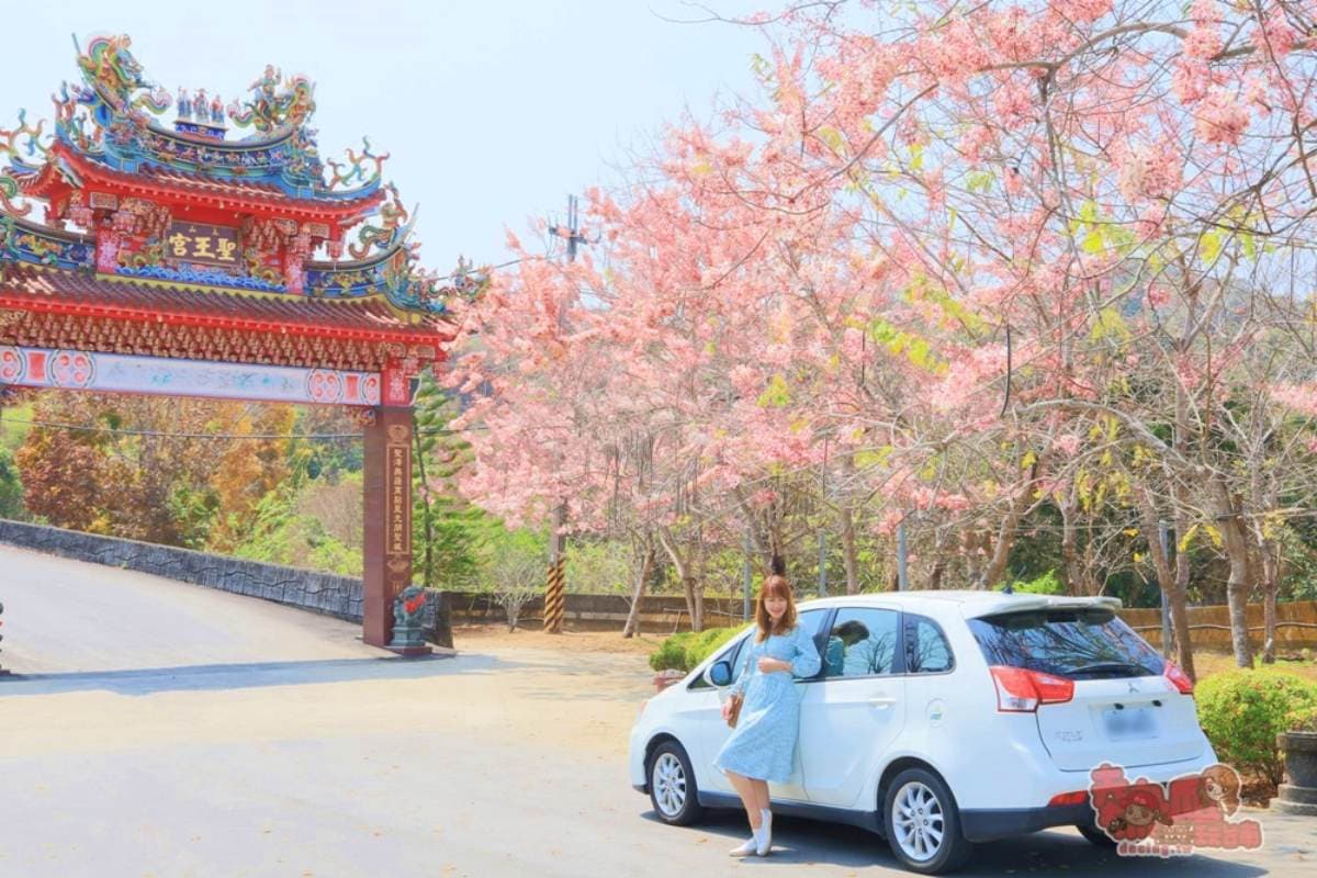 粉爆了!中南部7處「花旗木祕境」:台版吉野山千本櫻、彰化最美鐵道 粉爆了!中南部7處「花旗木祕境」:台版吉野山千本櫻、彰化最美鐵道