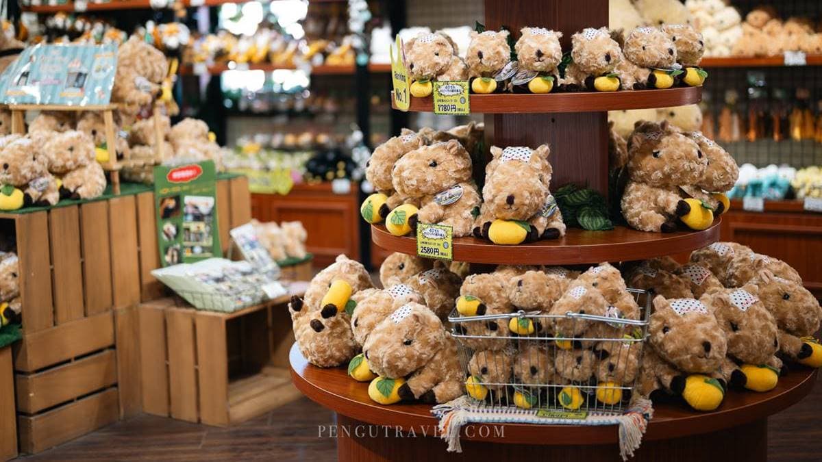 水豚娃娃是必敗伴手禮！（圖片來源：Pengu Travel）