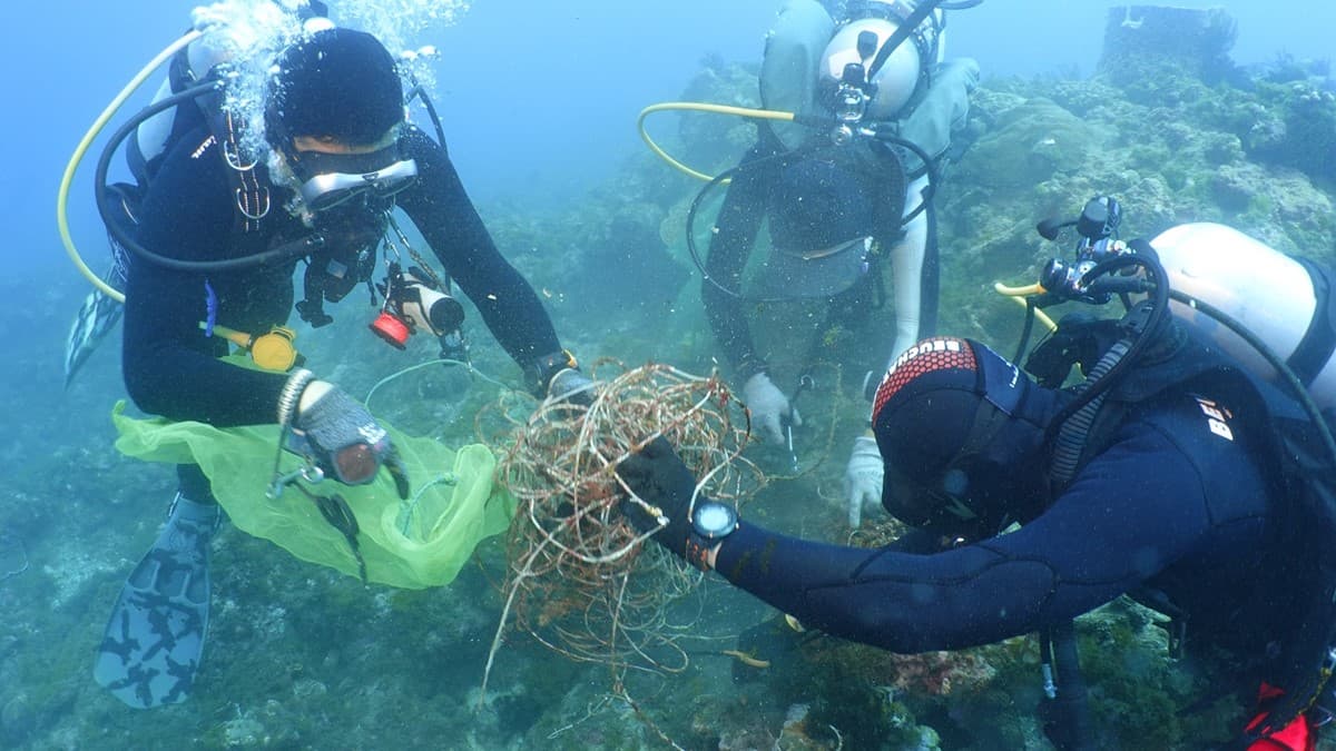 夏天到小琉球玩海注意!7月起「這3處」入場將收海洋保育費 夏天到小琉球玩海注意!7月起「這3處」入場將收海洋保育費