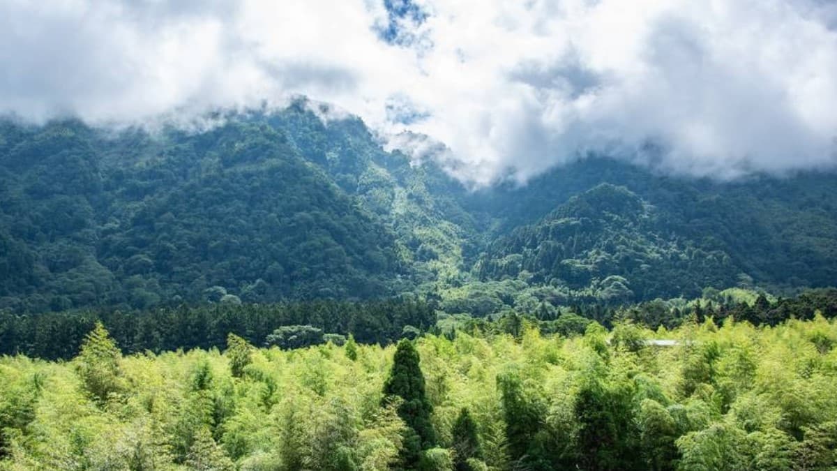 戶外景色非常優美。（圖片來源：sya的旅遊部落格）