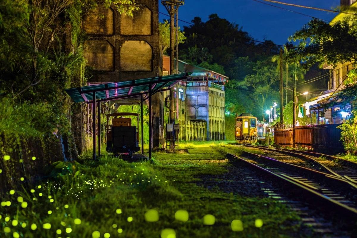 2026新北賞螢地圖快收!4處螢火蟲祕境推薦,北台灣最大棲地、搭車就能到 2026新北賞螢地圖快收!4處螢火蟲祕境推薦,北台灣最大棲地、搭車就能到