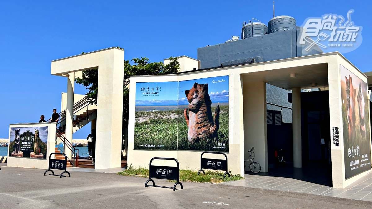 日本最萌「貓狗木雕展」登台!開箱4大亮點:14米高擁抱貓貓、獨家貓咪燒 日本最萌「貓狗木雕展」登台!開箱4大亮點:14米高擁抱貓貓、獨家貓咪燒