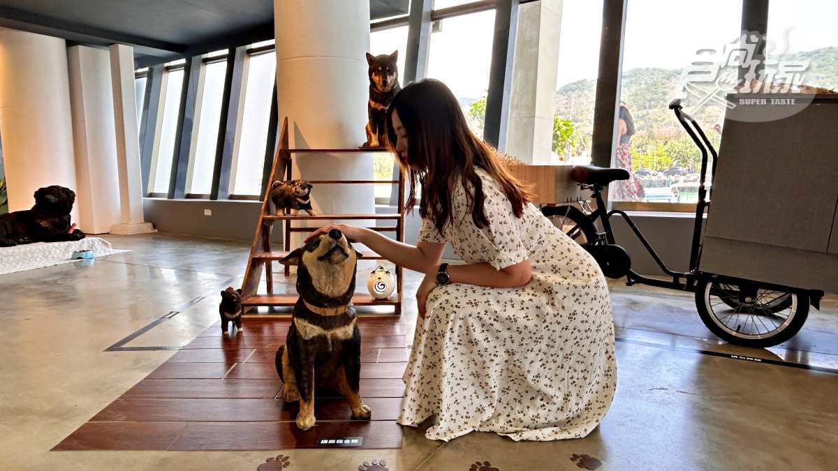 日本最萌「貓狗木雕展」登台!開箱4大亮點:14米高擁抱貓貓、獨家貓咪燒 日本最萌「貓狗木雕展」登台!開箱4大亮點:14米高擁抱貓貓、獨家貓咪燒