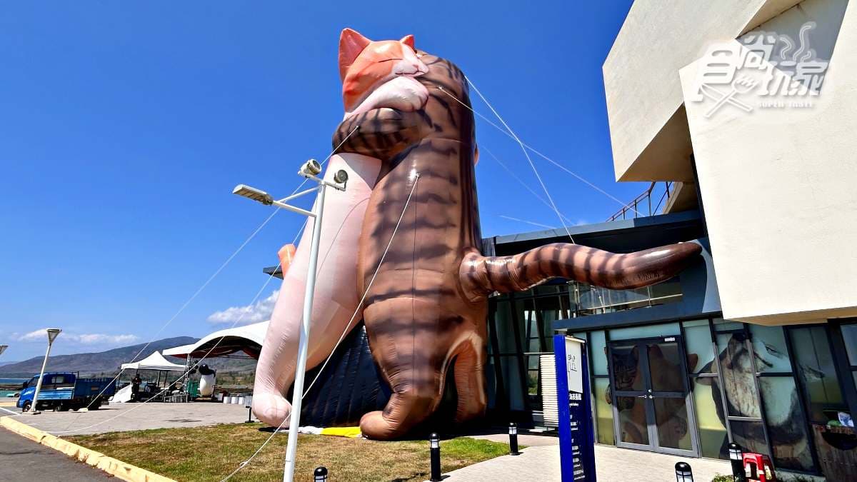日本最萌「貓狗木雕展」登台!開箱4大亮點:14米高擁抱貓貓、獨家貓咪燒 日本最萌「貓狗木雕展」登台!開箱4大亮點:14米高擁抱貓貓、獨家貓咪燒