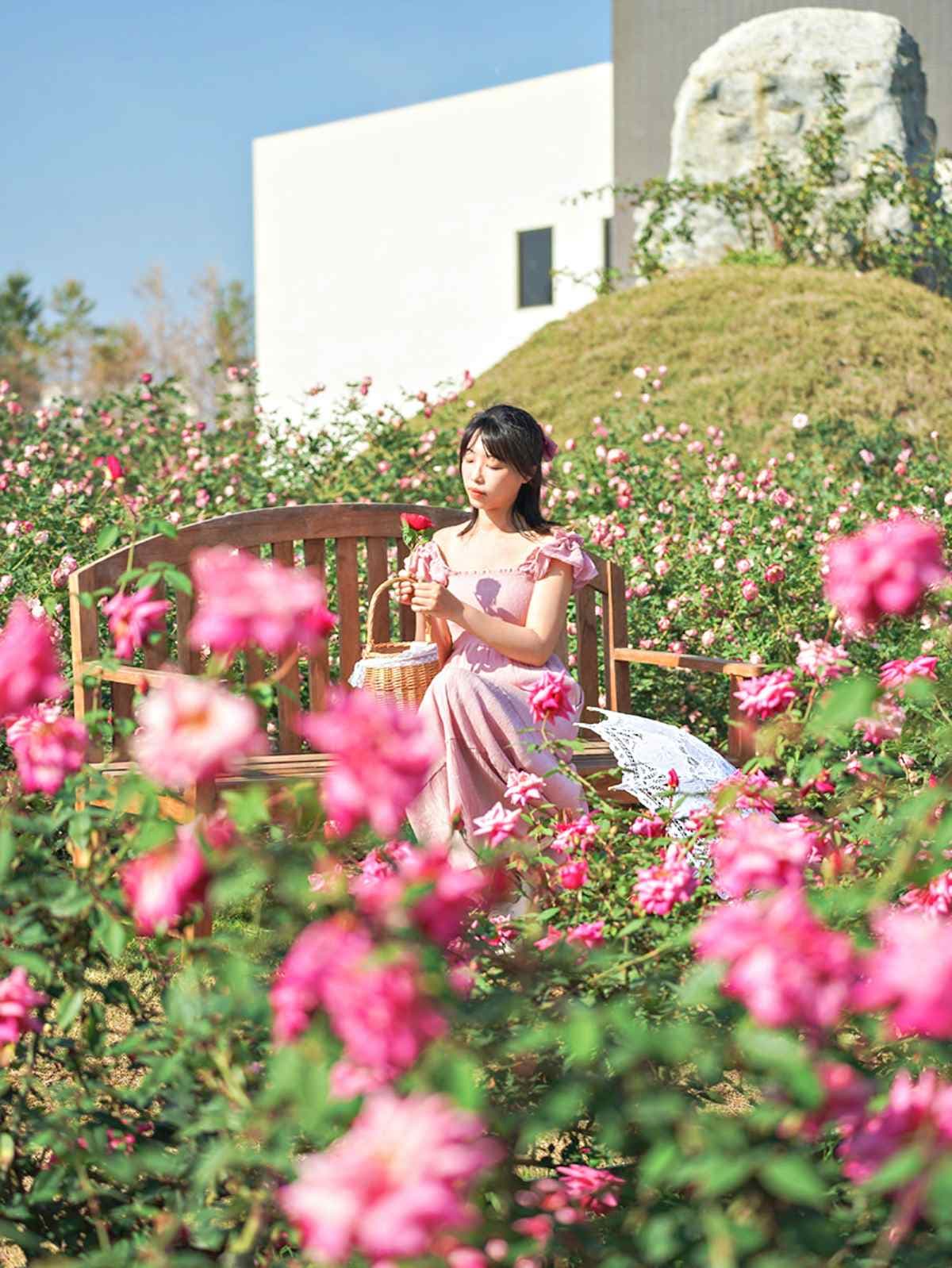 「全台最大玫瑰園」重新開放！千坪花園、南部版小人國、熱帶雨林免費逛到飽