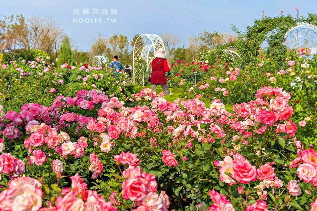 「全台最大玫瑰園」重新開放！千坪花園、南部版小人國、熱帶雨林免費逛到飽
