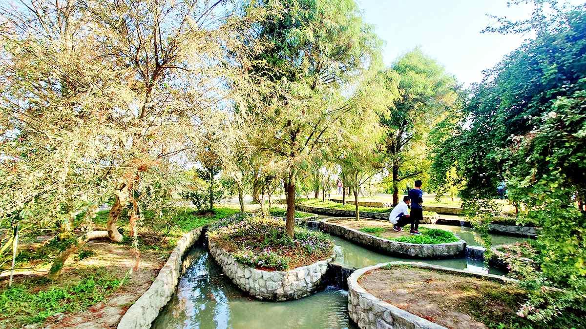 「全台最大玫瑰園」重新開放！千坪花園、南部版小人國、熱帶雨林免費逛到飽