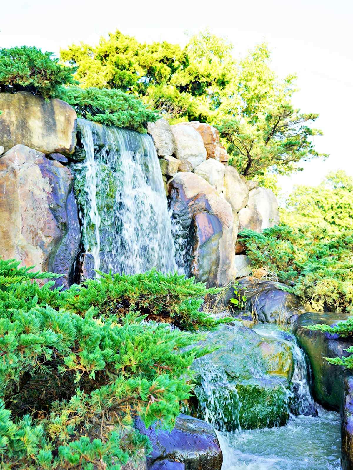 「全台最大玫瑰園」重新開放！千坪花園、南部版小人國、熱帶雨林免費逛到飽