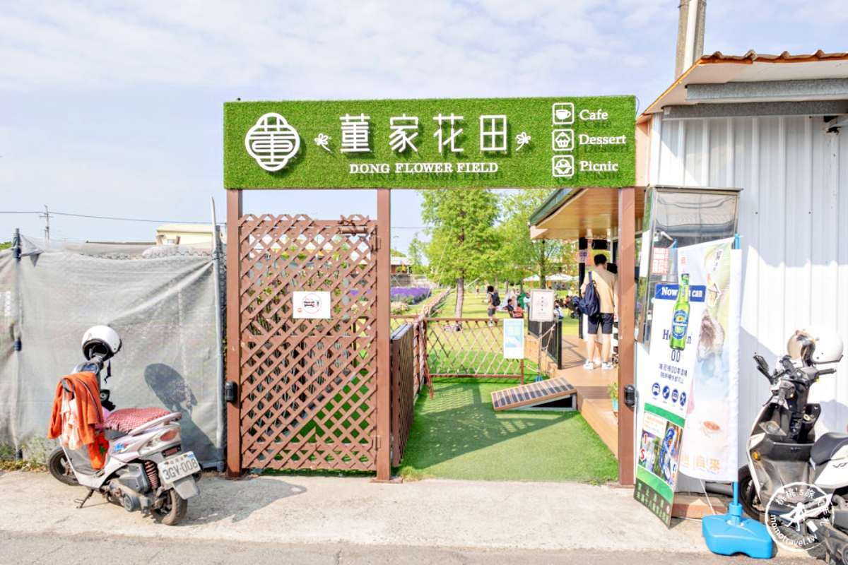 錯過等明年！全台唯一「康乃馨花田」破千坪100元拍爆，母親節快帶媽媽賞花