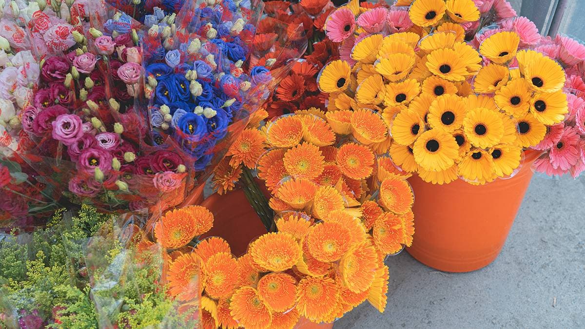 另外也可以直接跟花農購買花束。（圖片來源：旅行履行中）