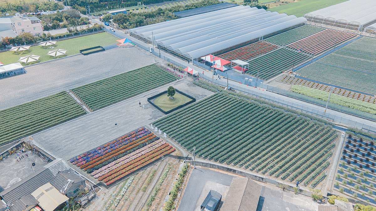 董家花田占地廣大，除了康乃馨還有其他不同品種的花卉。（圖片來源：旅行履行中）