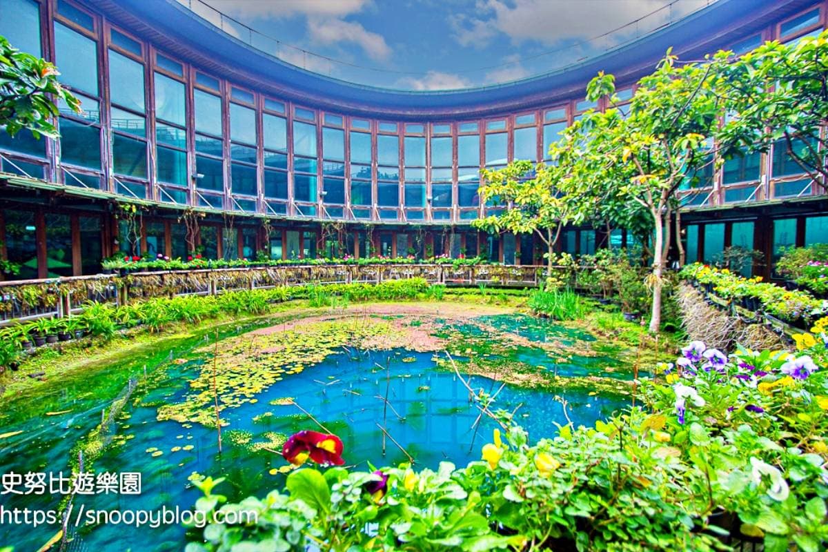 喝咖啡免費逛莫內花園！IG搶拍睡蓮池、圓形天井，隱藏版景點藏台北「這裡」