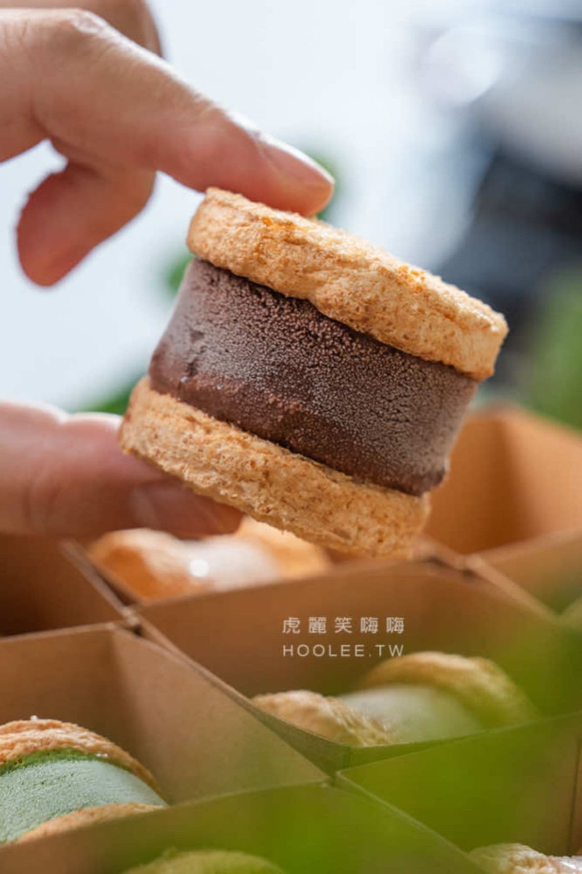 萌到捨不得吃！超Ｑ「脆皮小熊泡芙」藏巷弄，糖粒酥皮＋奶油卡士達療癒滿分