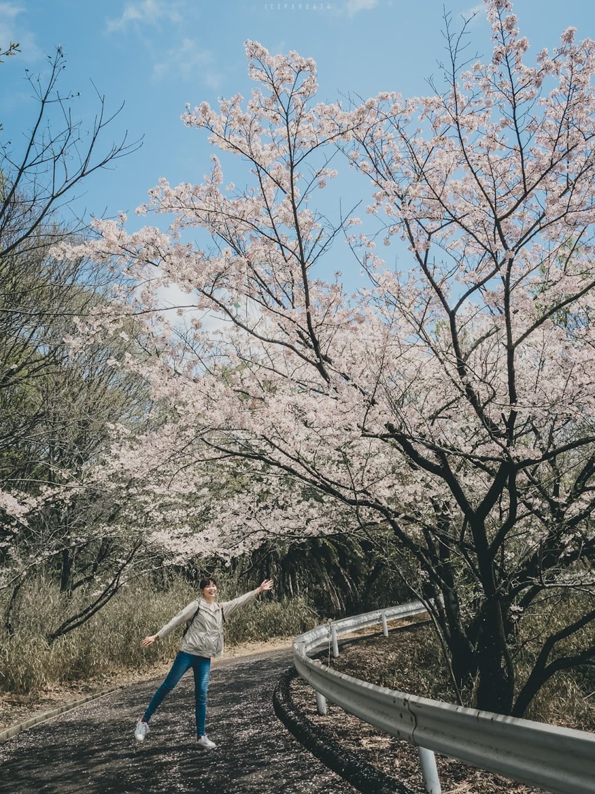 岡山「隱藏版遊樂園」!4樓高踩腳踏車賞海景、還有站著玩的雲霄飛車 岡山「隱藏版遊樂園」!4樓高踩腳踏車賞海景、還有站著玩的雲霄飛車