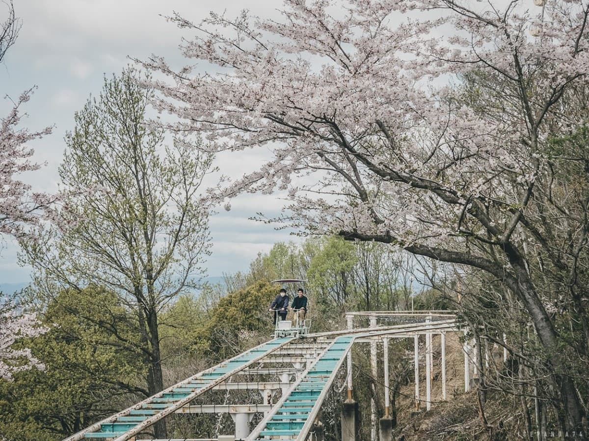 岡山「隱藏版遊樂園」!4樓高踩腳踏車賞海景、還有站著玩的雲霄飛車 岡山「隱藏版遊樂園」!4樓高踩腳踏車賞海景、還有站著玩的雲霄飛車