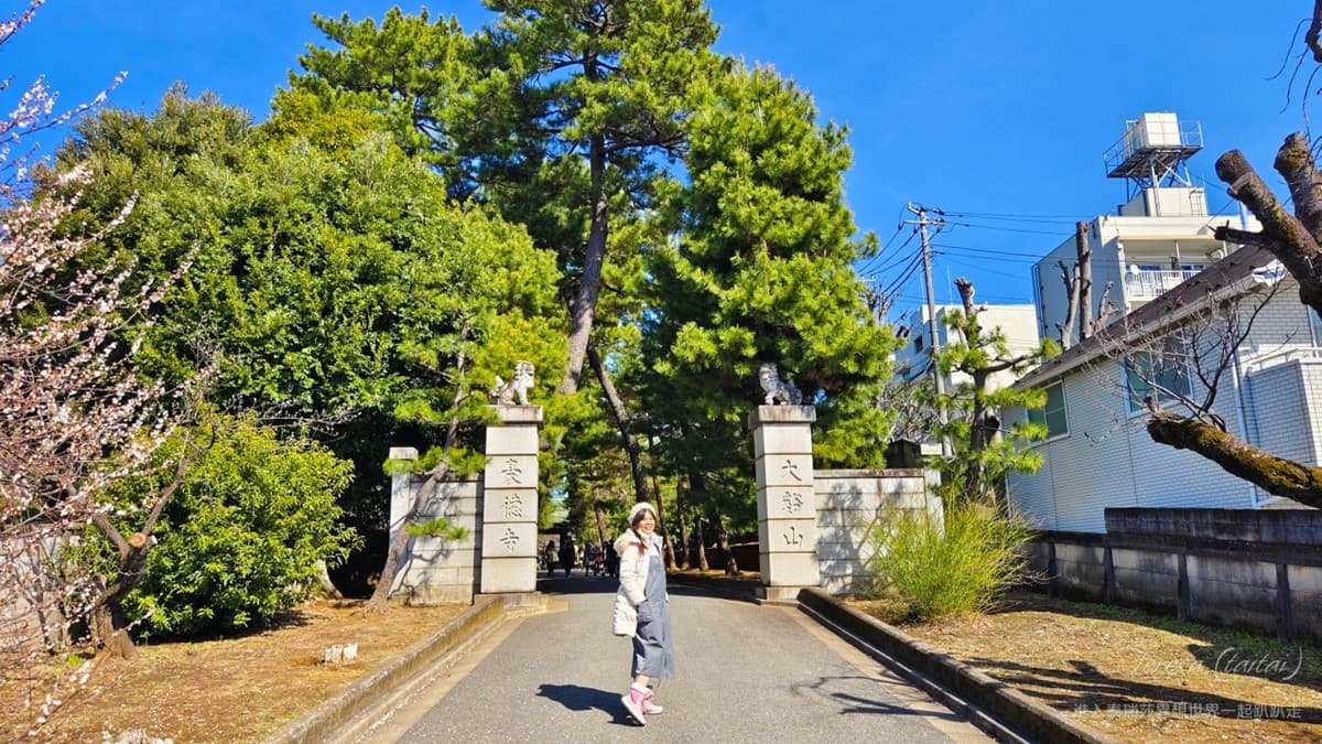 來這發財保平安!東京「招財貓發源地」免費拍到飽,還能請回台灣旺家運 來這發財保平安!東京「招財貓發源地」免費拍到飽,還能請回台灣旺家運