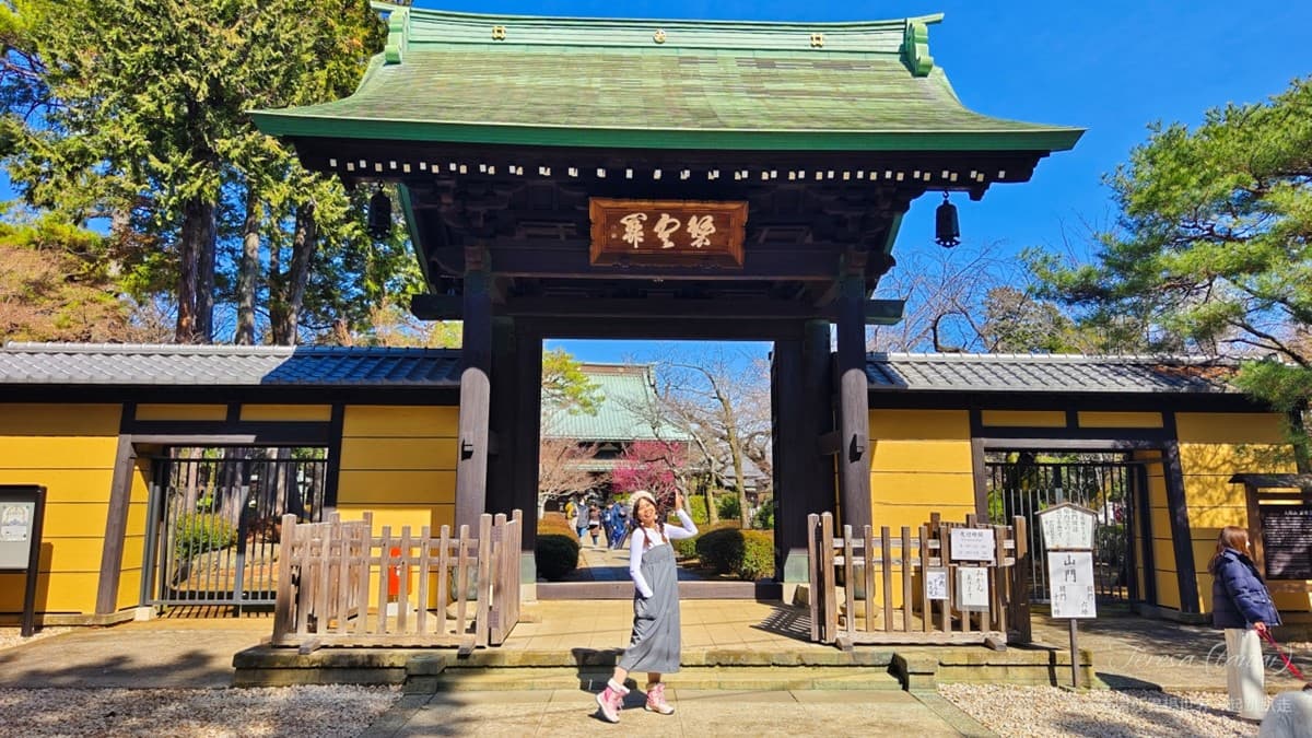 來這發財保平安!東京「招財貓發源地」免費拍到飽,還能請回台灣旺家運 來這發財保平安!東京「招財貓發源地」免費拍到飽,還能請回台灣旺家運
