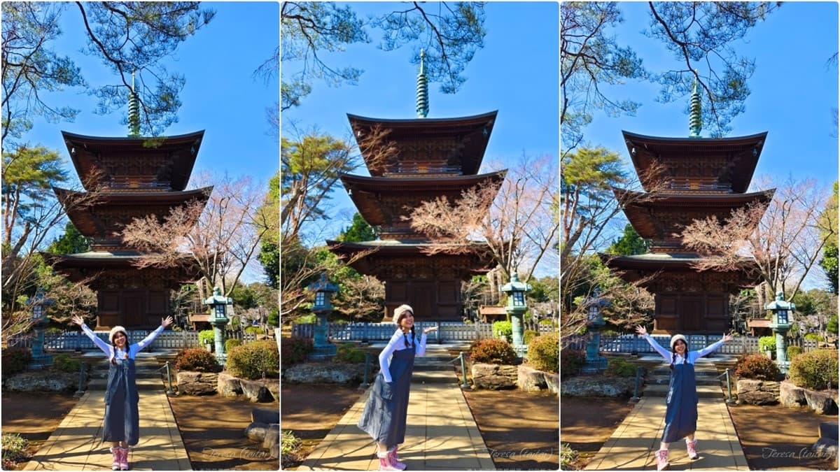 來這發財保平安!東京「招財貓發源地」免費拍到飽,還能請回台灣旺家運 來這發財保平安!東京「招財貓發源地」免費拍到飽,還能請回台灣旺家運