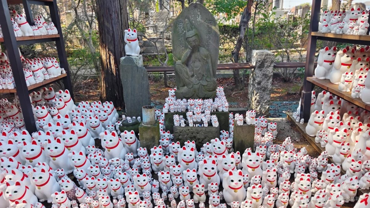 來這發財保平安!東京「招財貓發源地」免費拍到飽,還能請回台灣旺家運 來這發財保平安!東京「招財貓發源地」免費拍到飽,還能請回台灣旺家運
